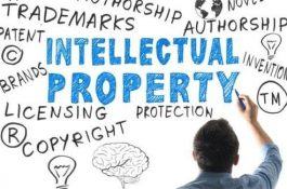 The Draft on Intellectual Property Law will be announced amending and supplementing a number of articles of the Intellectual Property Law