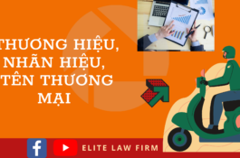 Thương hiệu, nhãn hiệu, tên thương mại là gì? Phân biệt nhãn hiệu và tên thương mại? Vai trò quan trọng của nhãn hiệu, tên thương mại đối với thương hiệu?