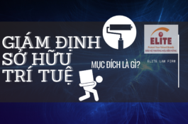 Giám định sở hữu trí tuệ là gì? Mục đích của việc giám định về sở hữu trí tuệ